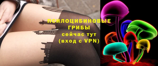 сатива Бугульма